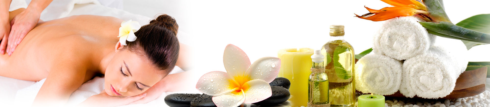 banner-servicos